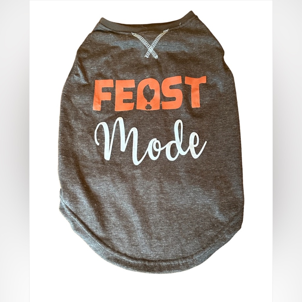 Thanksgiving dog t-shirt - large